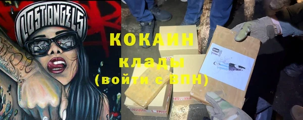 индика Богородск