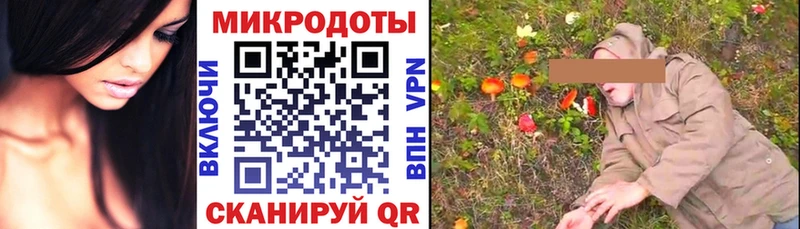 ссылка на мегу как войти  Канск  Псилоцибиновые грибы GOLDEN TEACHER  как найти  